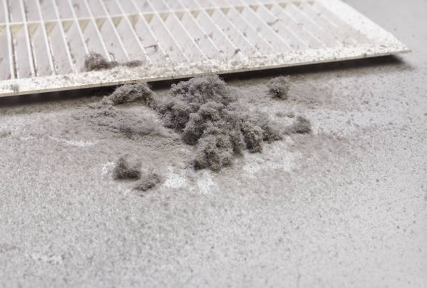 Best Air Duct Mold Removal  in Legend Lake, WI